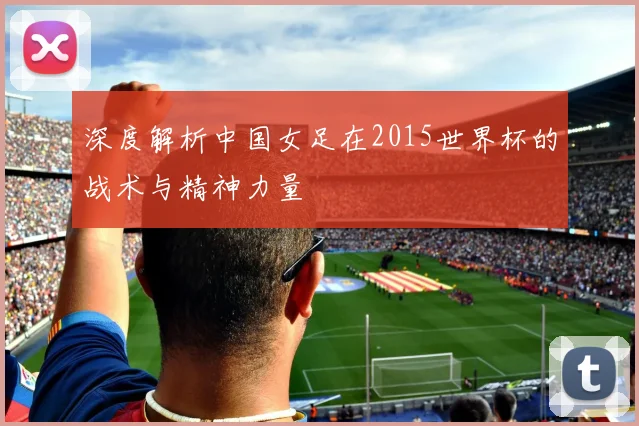 深度解析中国女足在2015世界杯的战术与精神力量