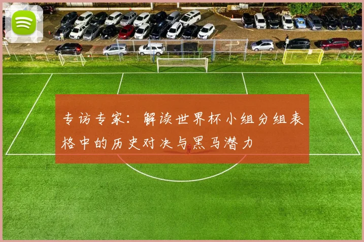 专访专家：解读世界杯小组分组表格中的历史对决与黑马潜力