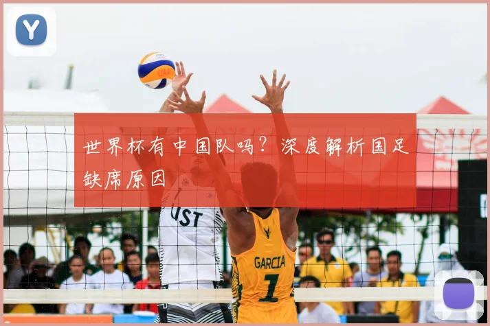 世界杯有中国队吗？深度解析国足缺席原因