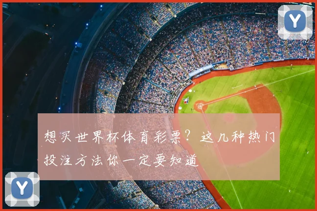 想买世界杯体育彩票？这几种热门投注方法你一定要知道