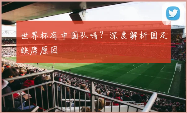 世界杯有中国队吗？深度解析国足缺席原因