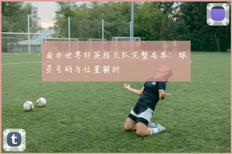 南非世界杯英格兰队完整名单：球员号码与位置解析