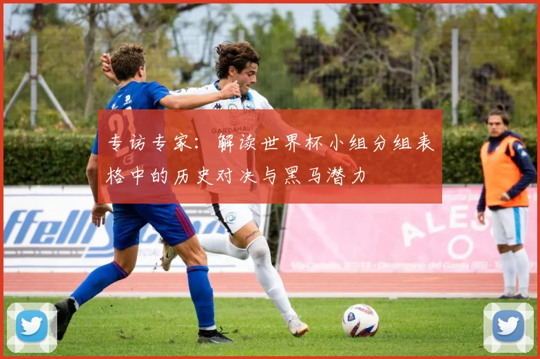 专访专家:解读世界杯小组分组表格中的历史对决与黑马潜力
